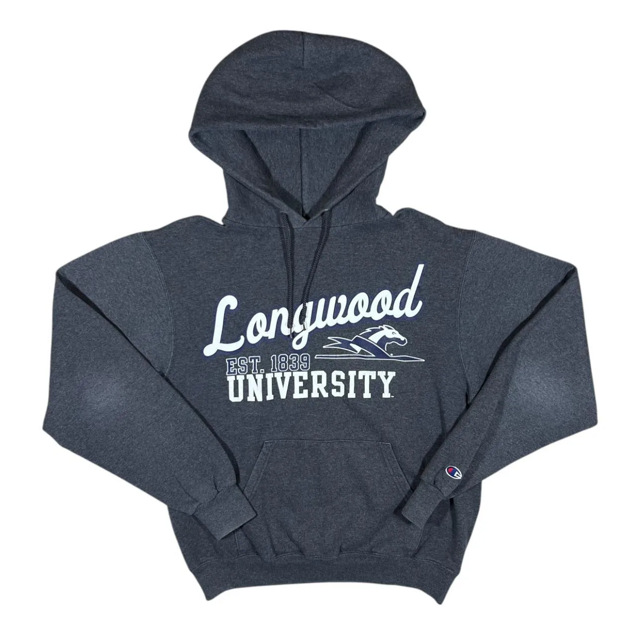 Champion LONGWOOD UNIVERSITY College Spellout Graphic Grey Pullover Hoodie