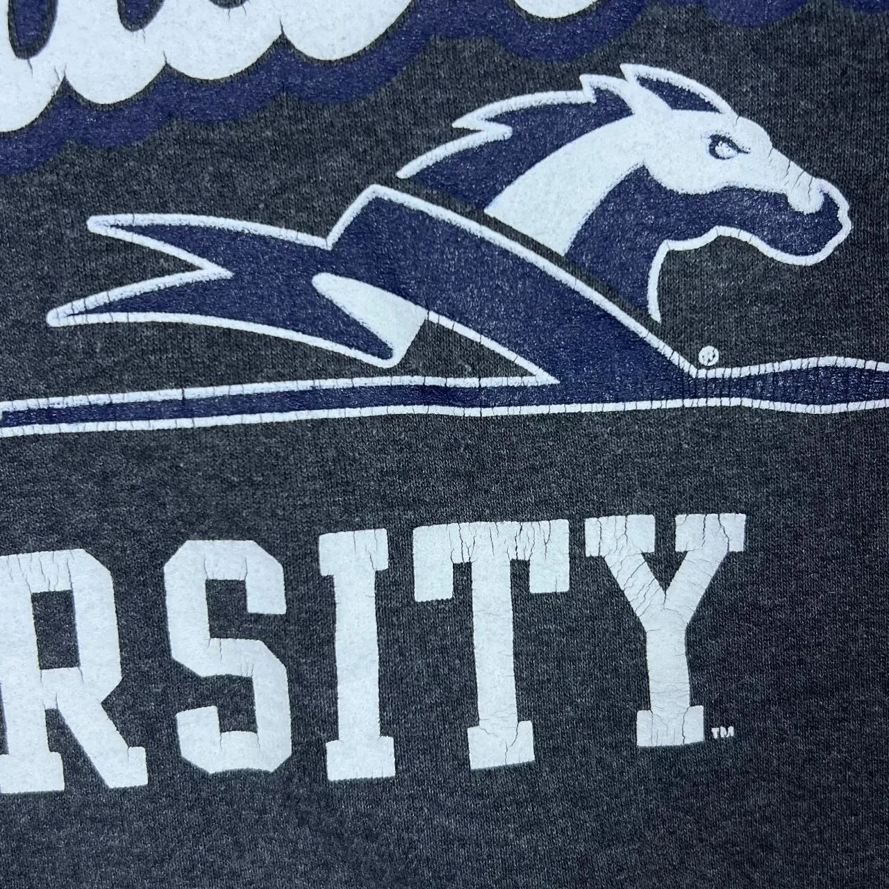 Champion LONGWOOD UNIVERSITY College Spellout Graphic Grey Pullover Hoodie