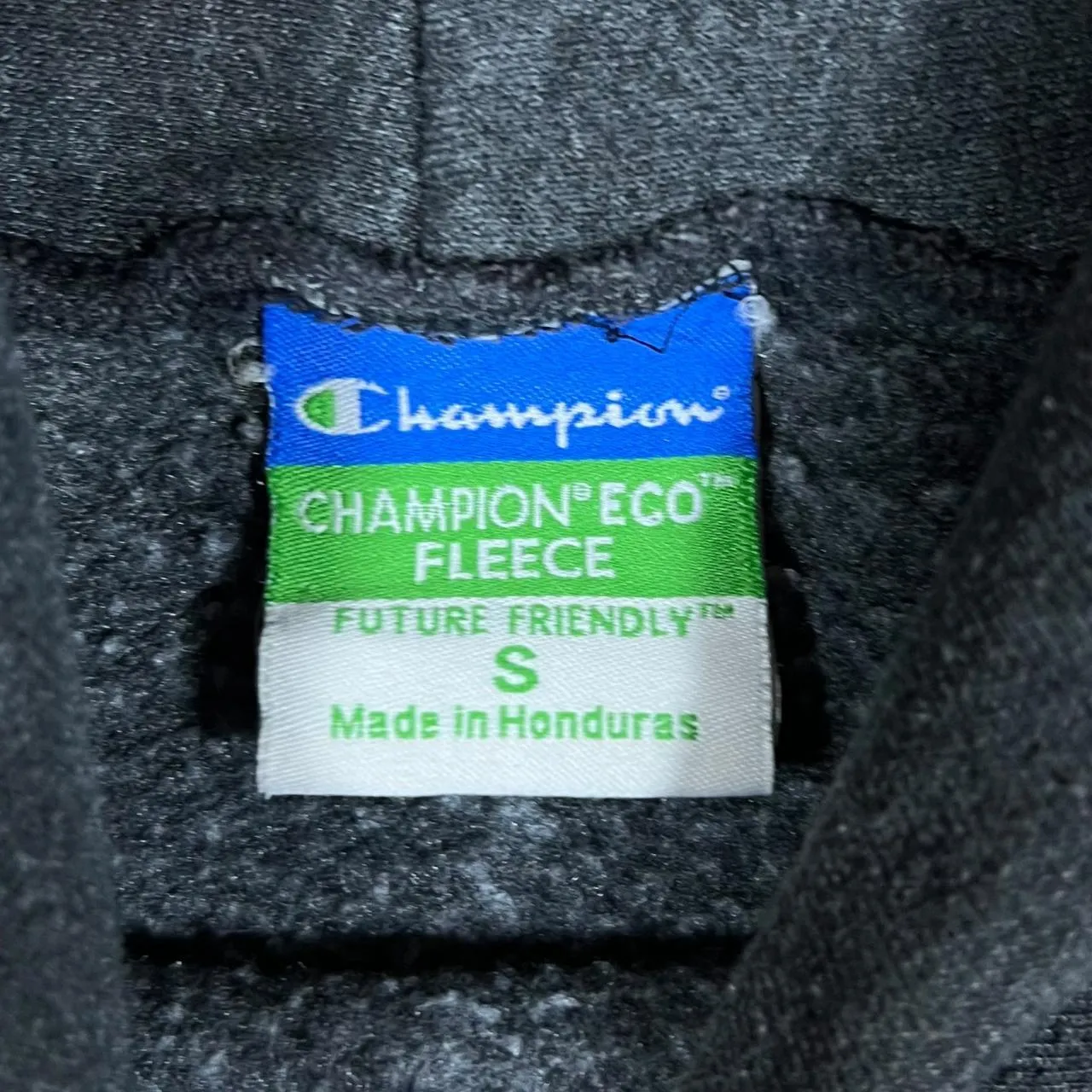 Champion LONGWOOD UNIVERSITY College Spellout Graphic Grey Pullover Hoodie