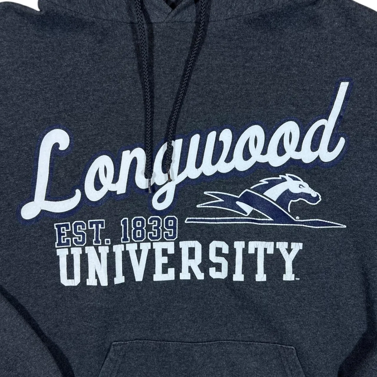 Champion LONGWOOD UNIVERSITY College Spellout Graphic Grey Pullover Hoodie
